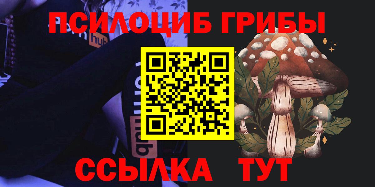 Псилоцибиновые грибы Psilocybine cubensis Гай